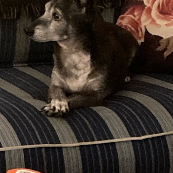 HANDMADE SHARE SHOW. DO NOT BID - Picture 7 of 14